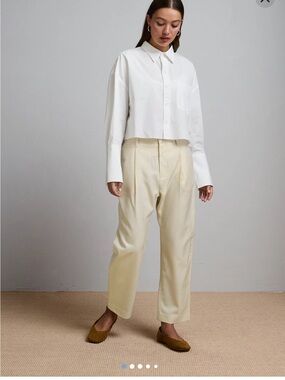 AE77 Premium Barrel Trouser